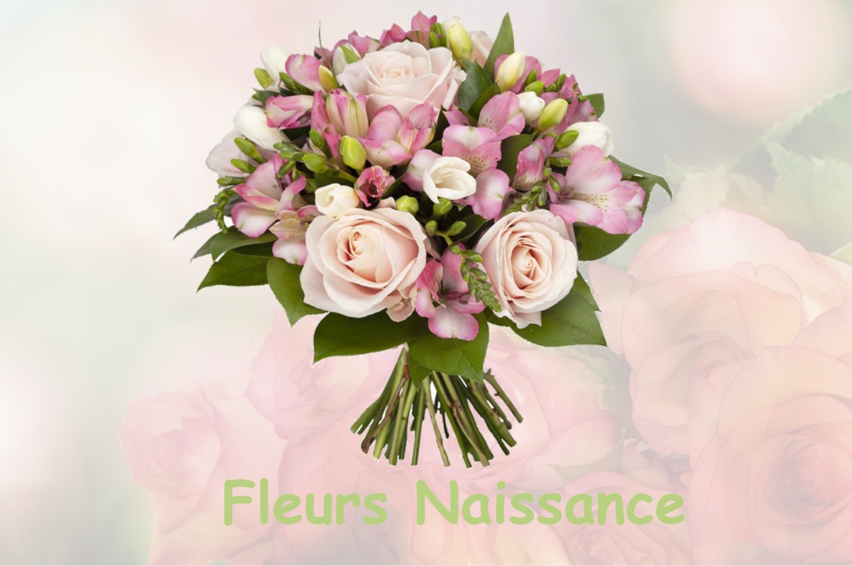 fleurs naissance SAINT-GENGOUX-DE-SCISSE